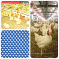 Precio bajo de equipos de alimentación de aves de corral mejor vendidos sistema de alimentación de tierra automática de piso de parrilla de engorde de pollo